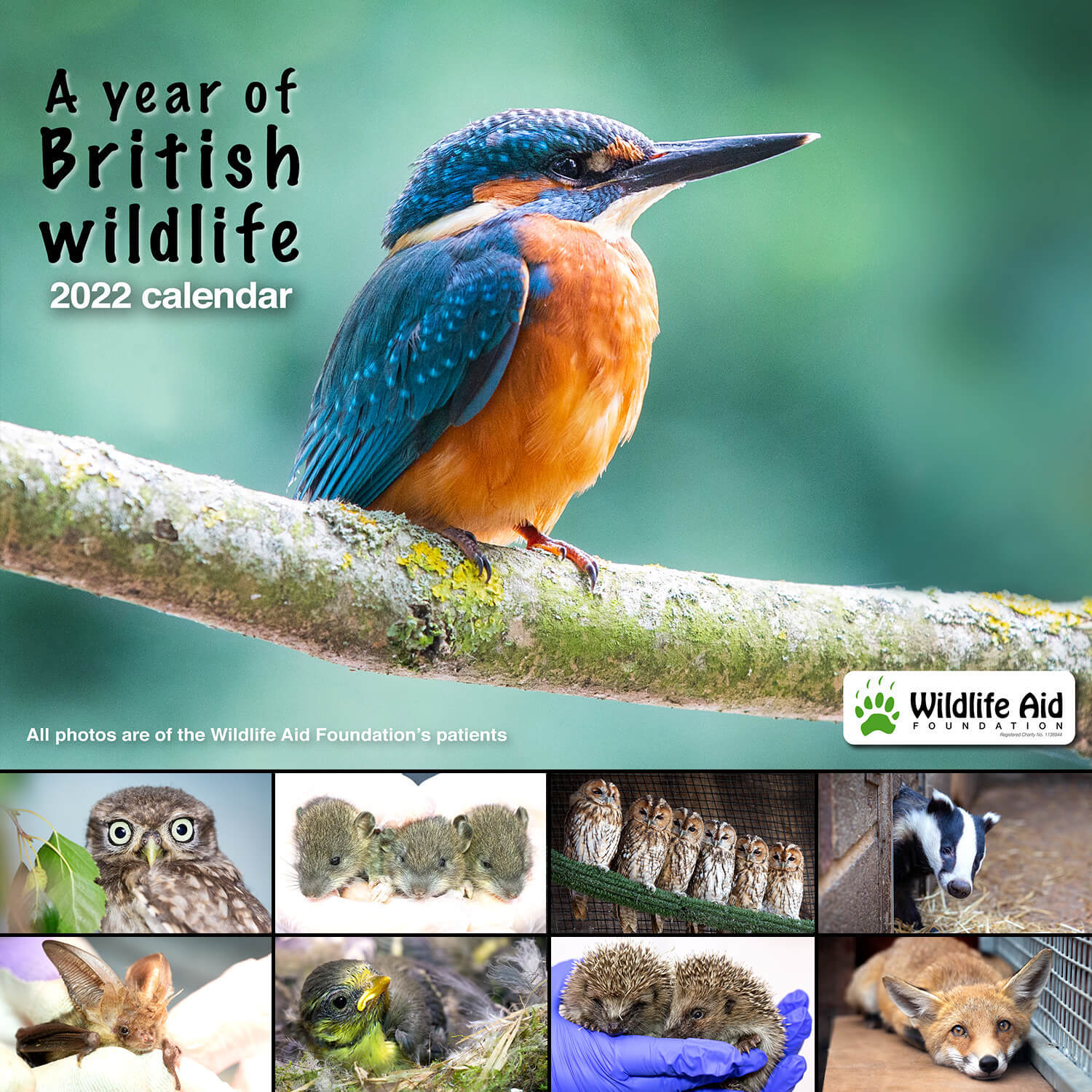 Wildlife Aid Foundation Wildlife Aid Exclusive Christmas Cards