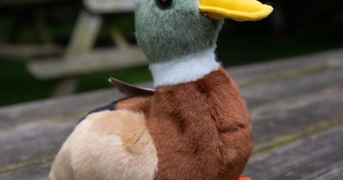 Stuffed duck plush deals