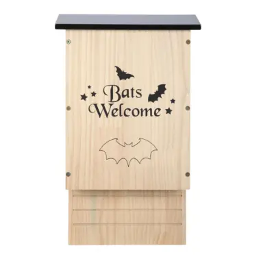 bat box
