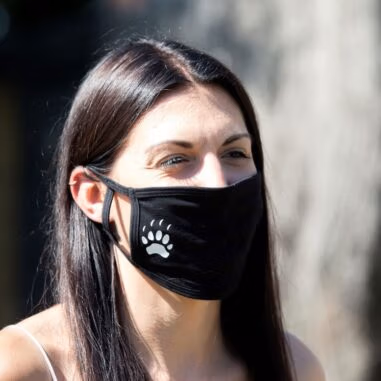 Face Mask