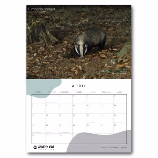 Wildlife Aid Calendar 2025 - Image 8