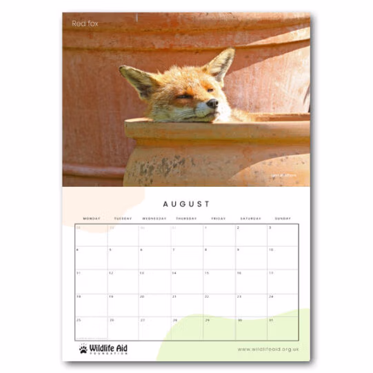 Wildlife Aid Calendar 2025 - Image 12