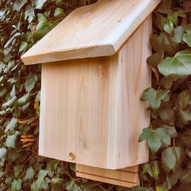 Chavenage Bat Box