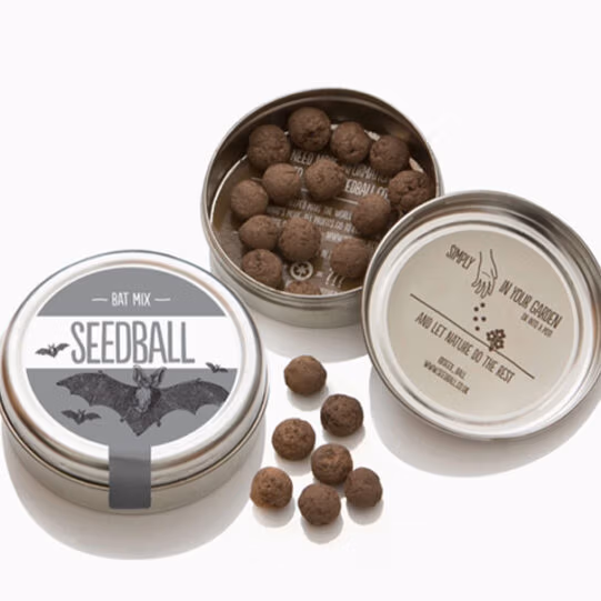 Bat Mix Seedball Tin - Image 2