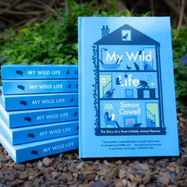 Books & DVDs