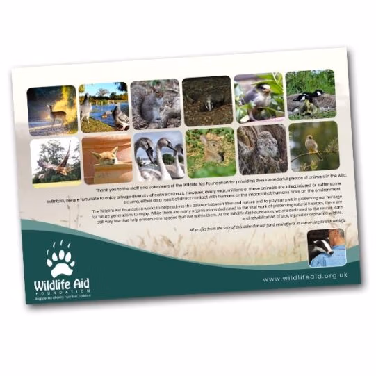 Wildlife Aid Calendar 2025 - Image 4