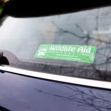 Car Sticker