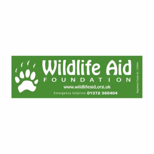 Car Sticker - Image 2
