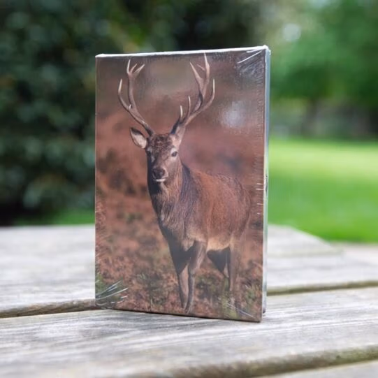 Mini Animal Notebooks