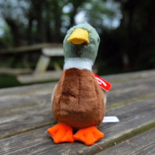 Plush Mallard Duck Cuddly Soft Toy - Image 2