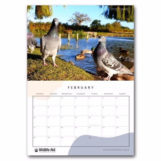 Wildlife Aid Calendar 2025 - Image 6