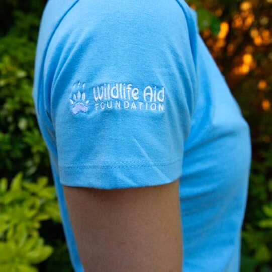 Pigeon Wild Line-Art Ladies Fitted T-Shirt - Image 4