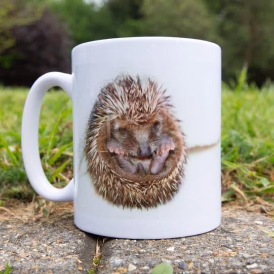 Wildlife Aid Mugs - Image 5