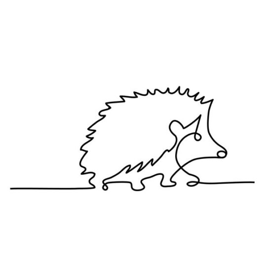 Hedgehog Wild Line-Art Ladies Fitted T-Shirt - Image 5