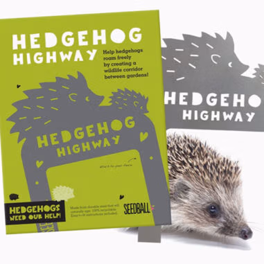 Hedgehog Highway