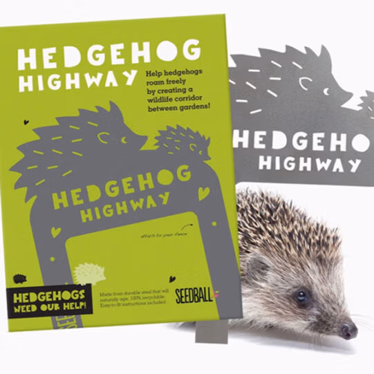 Hedgehog Highway
