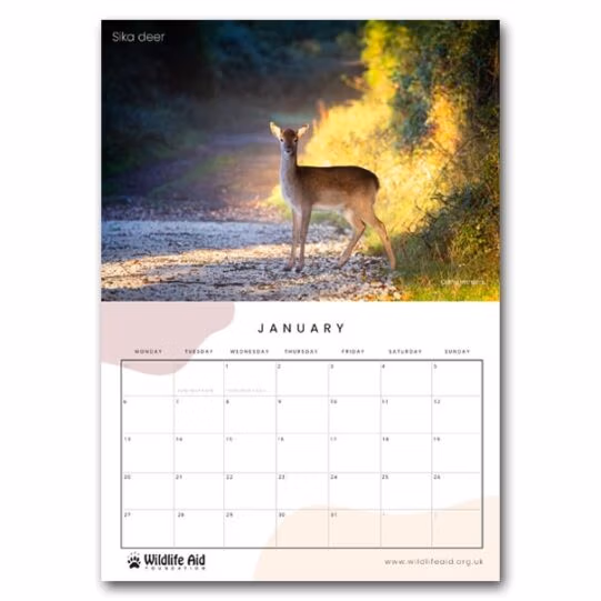 Wildlife Aid Calendar 2025 - Image 5