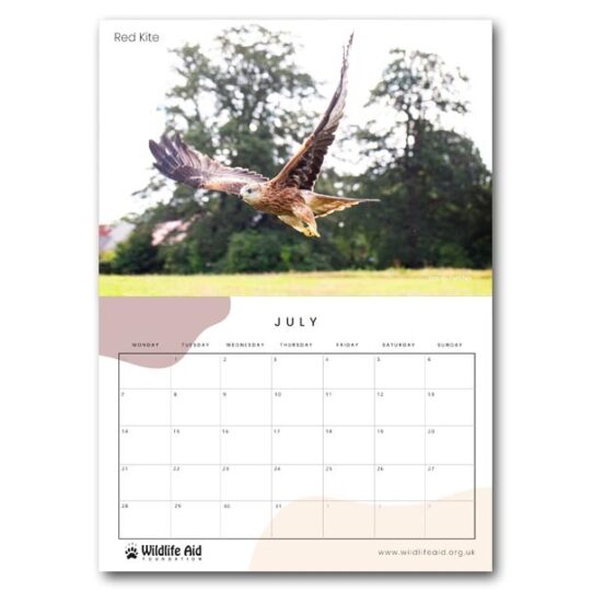 Wildlife Aid Calendar 2025 - Image 11