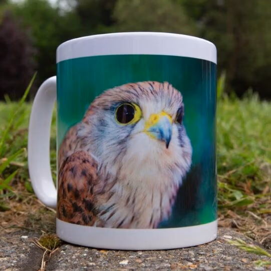 Wildlife Aid Mugs - Image 6