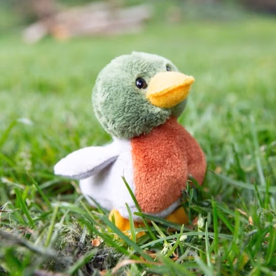 Living Nature Mini Wildlife Buddy - Image 3