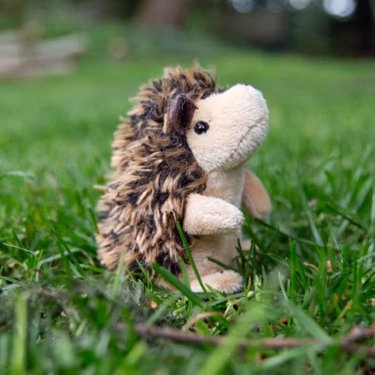 Living Nature Mini Wildlife Buddy - Image 4