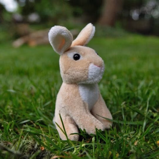 Living Nature Mini Wildlife Buddy - Image 6
