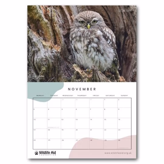 Wildlife Aid Calendar 2025 - Image 15