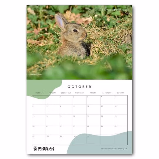 Wildlife Aid Calendar 2025 - Image 14