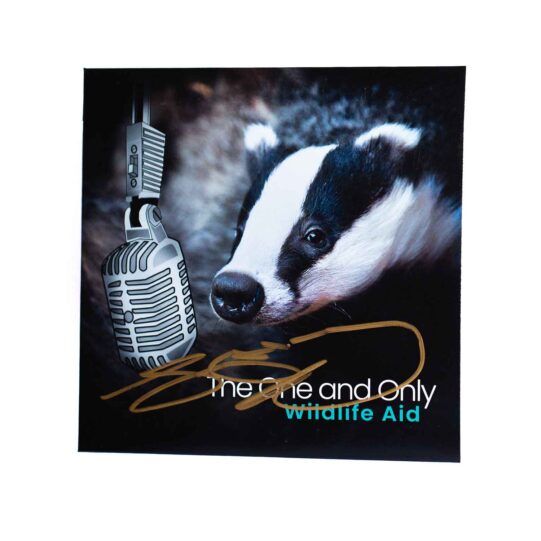 The One and Only - Limited edition CD! - Image 2