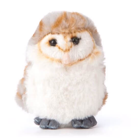 Living Nature Barn Owl - Image 2