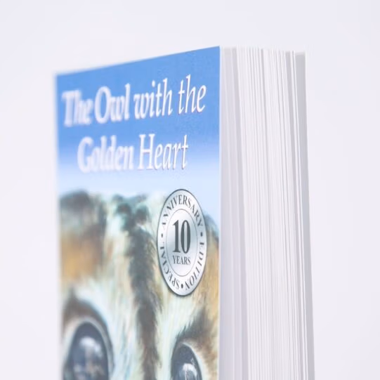 The Owl With The Golden Heart - Image 5