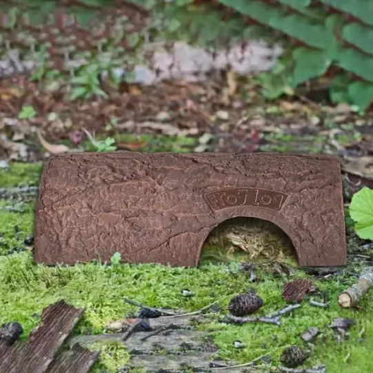 Simon King Frog Log - Image 2