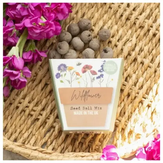 Wildflower Seed Balls - Image 2