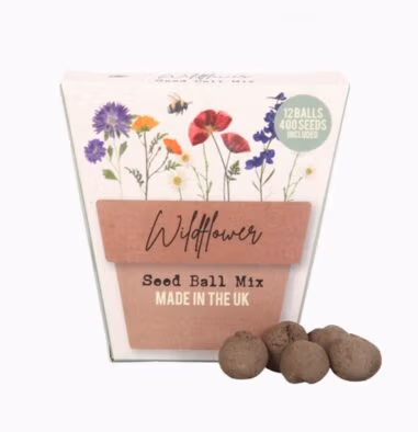 Wildflower Seed Balls