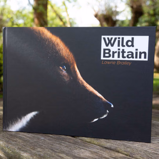Wild Britain' by Lawrie Brailey - Image 4