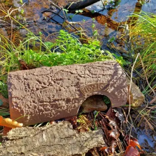 Simon King Frog Log - Image 3