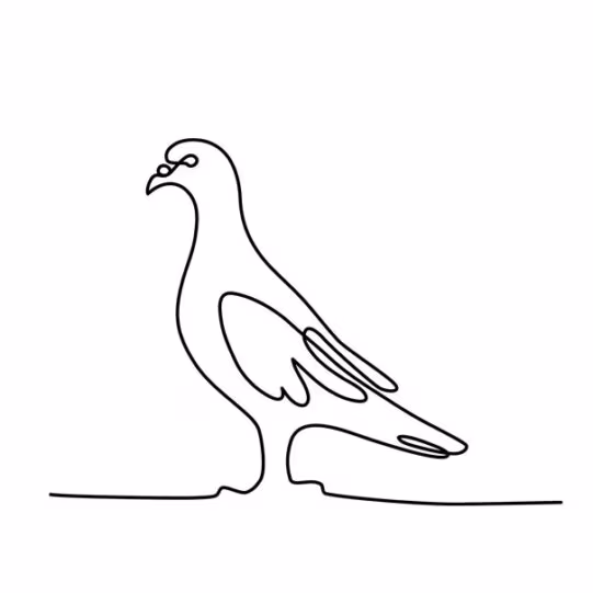 Pigeon Wild Line-Art Unisex Hoodie - Image 6
