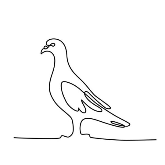Pigeon Wild Line-Art Unisex Sweatshirt - Image 3