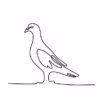 Pigeon Wild Line-Art Ladies Fitted T-Shirt - Image 5