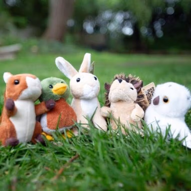 Plush Toys