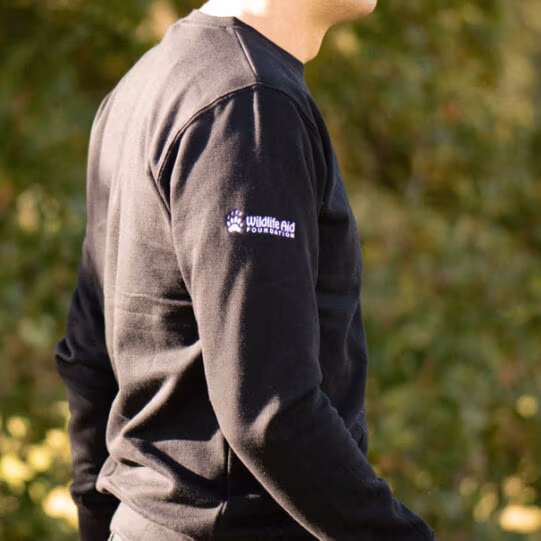 Badger Wild Line-Art Unisex Sweatshirt - Image 3