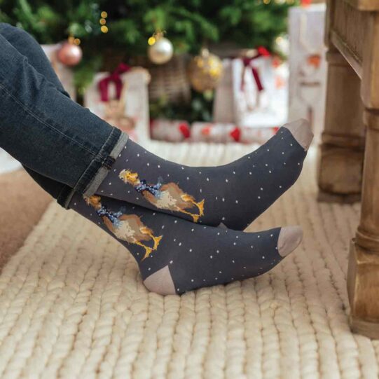 Wrendale - Socks (Men) - Image 8