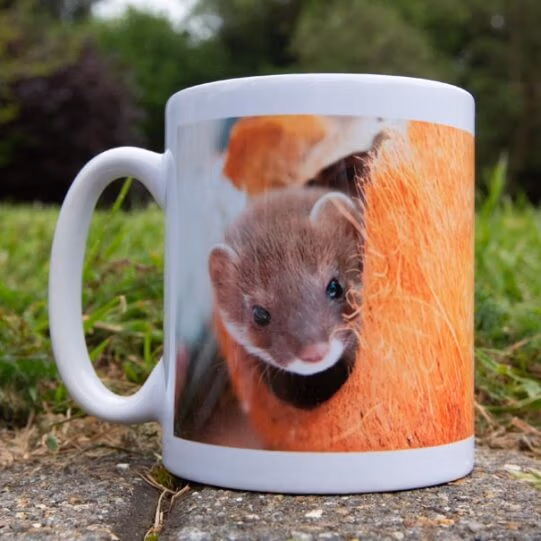 Wildlife Aid Mugs - Image 9