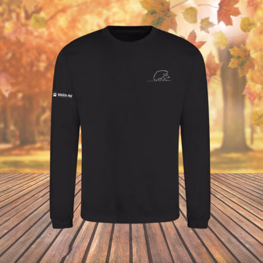 Hedgehog Wild Line-Art Unisex Sweatshirt - Image 4