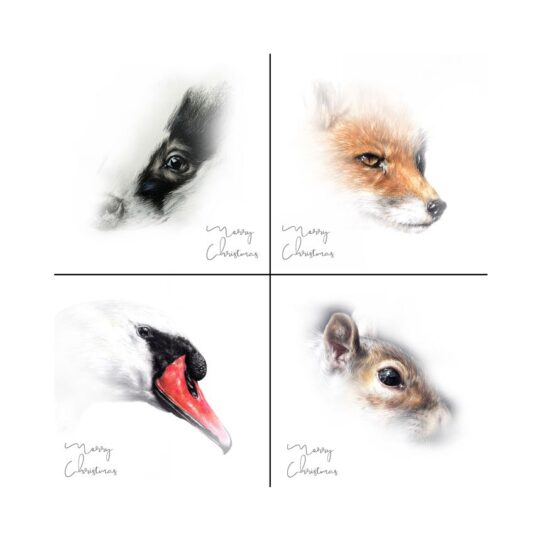 Christmas Cards (Wildlife Aid Exclusive) - Image 2