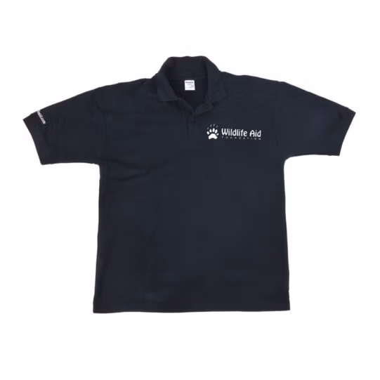Mens Polo Shirts - Image 2