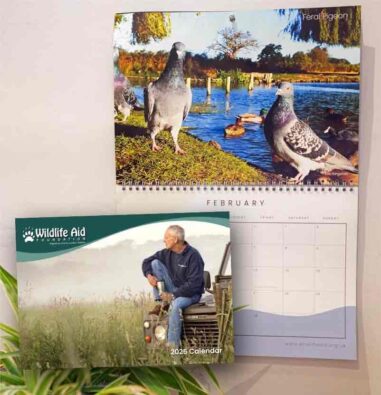 Wildlife Aid Calendar 2025