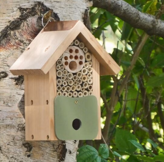 Bee Barn - Image 3