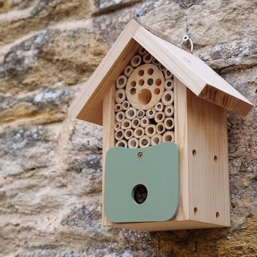 Bee Barn