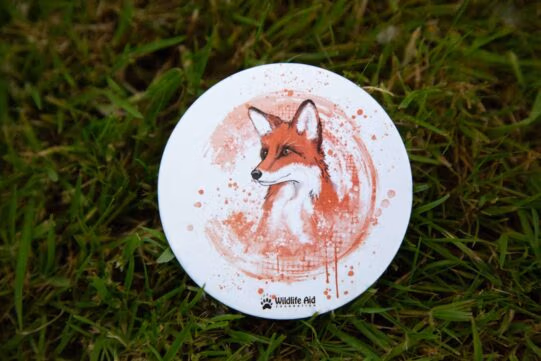 Coasters - Image 4